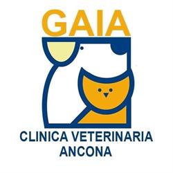 Clinica Veterinaria Gaia Ancona, Baraccola Sud Davanti Alla Motorizzazione Civile - Orari di apertura
