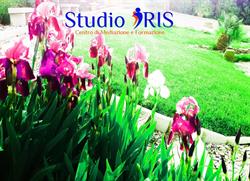 Studio Iris - Centro Di Formazione e Mediazione, Potenza orari di apertura