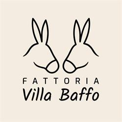 Azienda Agricola Fattoria Villa Baffo Di Paoletti Antonella Maria Civitella Casanova, Villa Baffo - Orari di apertura