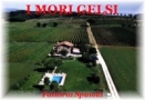 Agriturismo i Mori Gelsi - Fattoria Spinola Torgiano, Fattoria Spinola - Orari di apertura