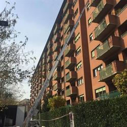 D.r.l. Di D'andrea Raffaele Torino, Lucento - Orari di apertura