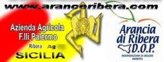 Azienda Agricola F.lli Palermo Ribera, Ribera - Orari di apertura