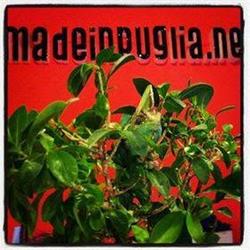 Madeinpuglia.net Trani, Centro - Orari di apertura