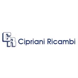 C.R. Cipriani Auto Ricambi Torino, Parella - Orari di apertura
