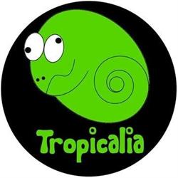 Tropicalia SRL Firenze, Rifredi - Orari di apertura