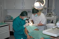 Studi medici dentistici dottor Lino Pandini Fano, Lido - Orari di apertura