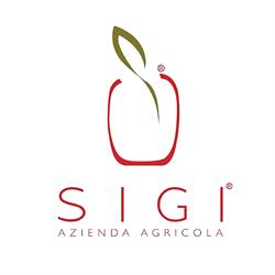 Az. Agr. Si.gi. SAS, Macerata orari di apertura