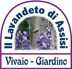 Vivaio Il Lavandeto di Assisi. Vivaio Perugia. Piante da Giardino, Castelnuovo orari di apertura