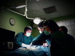 Clinica Veterinaria Due Madonne Bologna, Fossolo - Orari di apertura