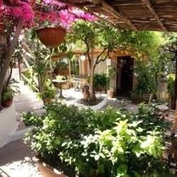 Aenaria Beauty Center, Ischia Porto orari di apertura