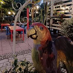 Il Pirata Minigolf Pizzeria Ristorante Viareggio, Pineta Di Ponente - Orari di apertura