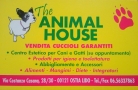 The Animal House Di Corso Alessandro Roma, Lido Di Ostia Ponente - Orari di apertura