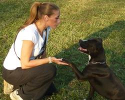 Centro Cinofilo Dog Trainer Asd, Cavenago di Brianza orari di apertura