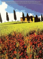 Toscana Tour, Cecina orari di apertura