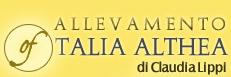 Azienda Agricola Talia Althea, Campiglia Marittima orari di apertura