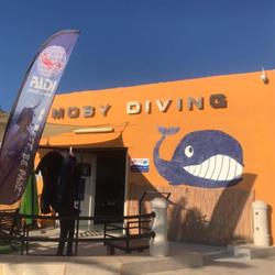 Moby Diving Center Lampedusa, Porto Nuovo - Orari di apertura