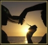 Armando Pace Parrucchieri in Roma Hair & Good Life Designer, orari di apertura