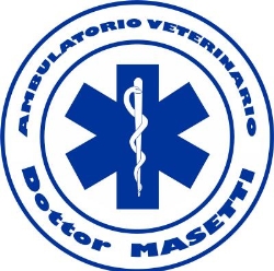 Ambulatorio Veterinario Dott. Masetti Giovanni Fulvio, Legnano orari di apertura