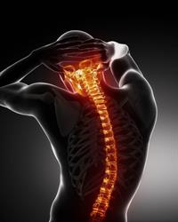 Centro Olimpo - Osteopatia e Posturologia e Medicina Integrata, Firenze orari di apertura
