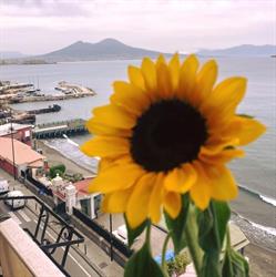 vistamare b&b Napoli, Posillipo - Orari di apertura