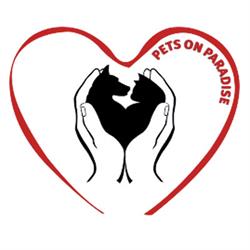 Pets on Paradise, Rimini orari di apertura