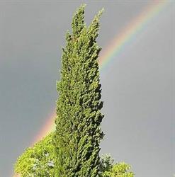 Agriturismo Casa Elisa, Sinalunga orari di apertura