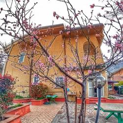 Bed and Breakfast Pieffe, Frascineto orari di apertura
