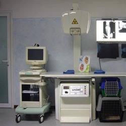 Veterinario Dr. Stefano de Boni, Codevigo orari di apertura