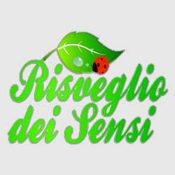 Risveglio dei Sensi di Giordano Serena, Cuneo orari di apertura