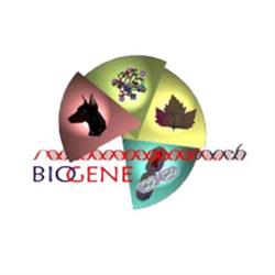Biogene Analisi Veterinarie, Catania orari di apertura