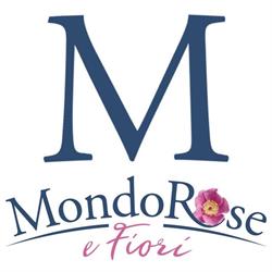 Mondorose Pontassieve, Sieci - Orari di apertura