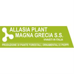 Allasia Plant Magna Grecia S.S., San Tommaso orari di apertura
