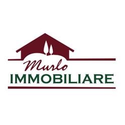 Murlo Immobiliare, Casciano orari di apertura