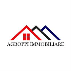 Agenzia Agroppi Immobiliare, Piombino orari di apertura