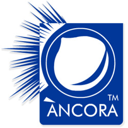 Ancora, Serino orari di apertura