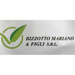 Bizzotto Mariano e Figli Srl, Cassola orari di apertura