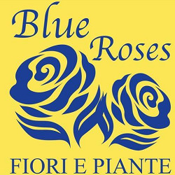 Fiori Blue Roses, Ciconia orari di apertura