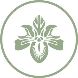 Boutique del Fiore, Bucchianico orari di apertura