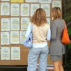 Ciak Immobiliare Di Vignoli Lorenzo Agenzia Immobiliare, Pontassieve orari di apertura