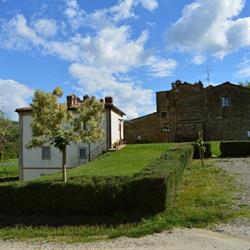 Ciuffi Simone, Capolona orari di apertura
