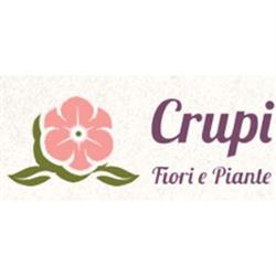 Crupi Fiori e Piante, Grugliasco orari di apertura
