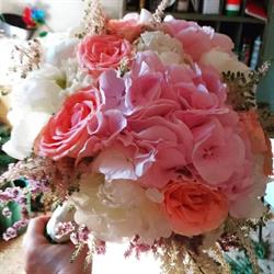 Ditelo Con I Fiori Di Ferraro, Itala orari di apertura