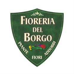Fioreria Del Borgo Di Ciarlariello Paolo, Campobasso orari di apertura