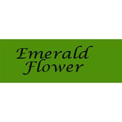 Emerald Flower - Fioreria, Padova orari di apertura
