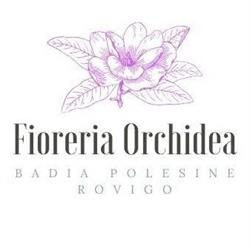 Fioreria Orchidea Di Mazzetto Patrizia, Badia Polesine orari di apertura