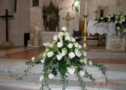 Piante-Fiori Iorio Anna, L'Aquila orari di apertura