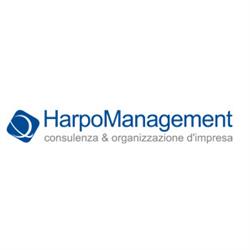 Harpo Management, Surbo orari di apertura