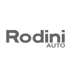 Rodini Auto Zevio, Santa Maria Di Zevio - Orari di apertura