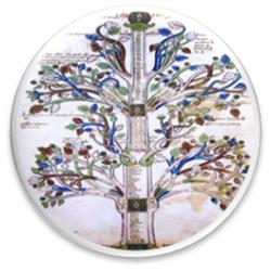 Il Giardino Dei Semplici S.R.L Terra Dei Semplici, Mandatoriccio orari di apertura