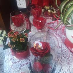 Il Giardino Fiorito, Torino orari di apertura